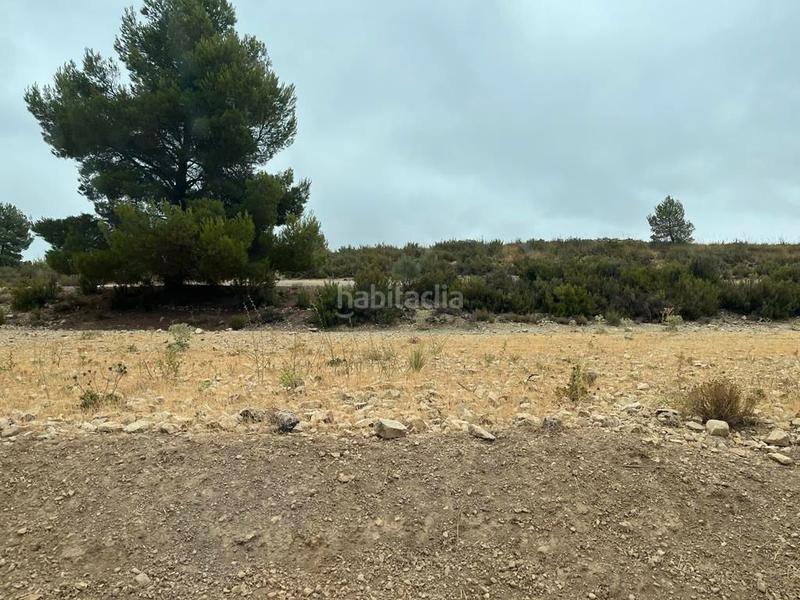 Foto d14d1ef3-e306-4f2c-b78e-afa732f14980. Finca rústica a Peñas de San Pedro