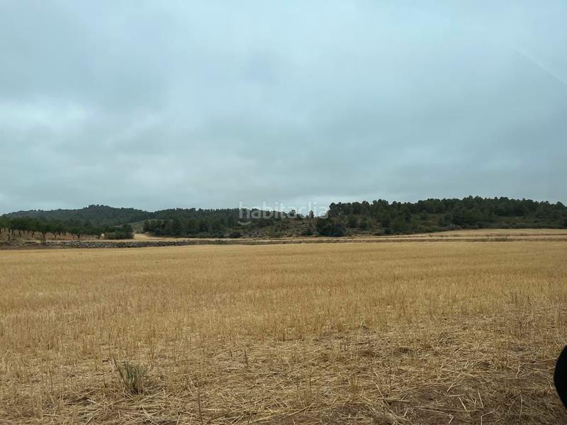 Foto e528261d-4484-43da-b6ff-d772e4ebe9a9. Finca rústica a Peñas de San Pedro