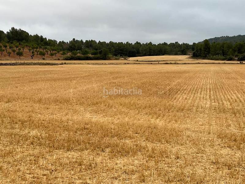 Foto f2c7985a-196d-4fd1-b020-4df9ac24769b. Finca rústica a Peñas de San Pedro