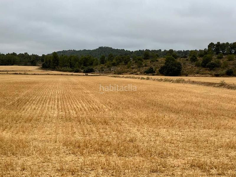 Foto f42a56aa-2487-449a-9f87-9aee4a322dbd. Finca rústica a Peñas de San Pedro