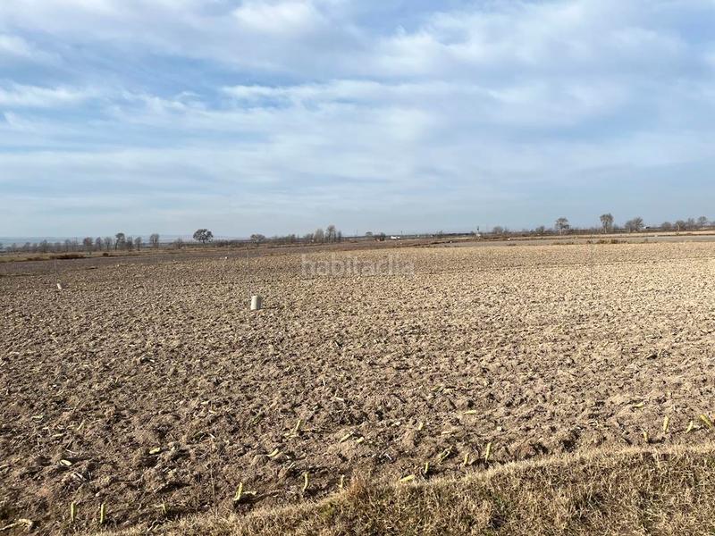 Foto 12582ab5-e5d4-4b29-8594-c62074b8e0ca. Finca rústica parcela de 5 hectareas de riego en la zona del salobral en Albacete