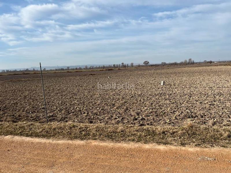 Foto 1a8d9f3e-e9a1-4d17-abb5-5f7723292eb1. Finca rústica parcela de 5 hectareas de riego en la zona del salobral en Albacete