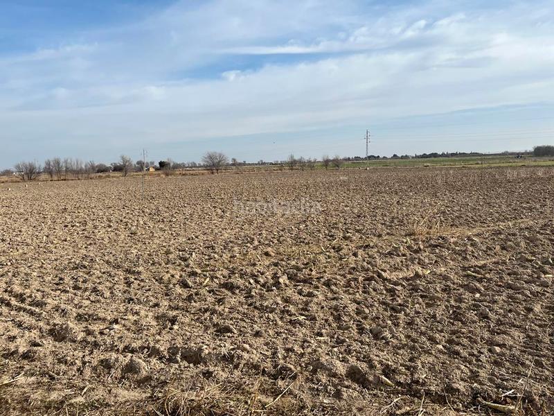 Foto 1cfddd18-13e5-40f5-8436-732cfc608095. Finca rústica parcela de 5 hectareas de riego en la zona del salobral en Albacete