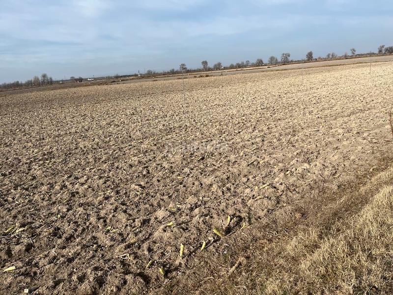 Foto 89e6c6cb-9f0c-4773-aa1e-67b63e21662b. Finca rústica parcela de 5 hectareas de riego en la zona del salobral en Albacete