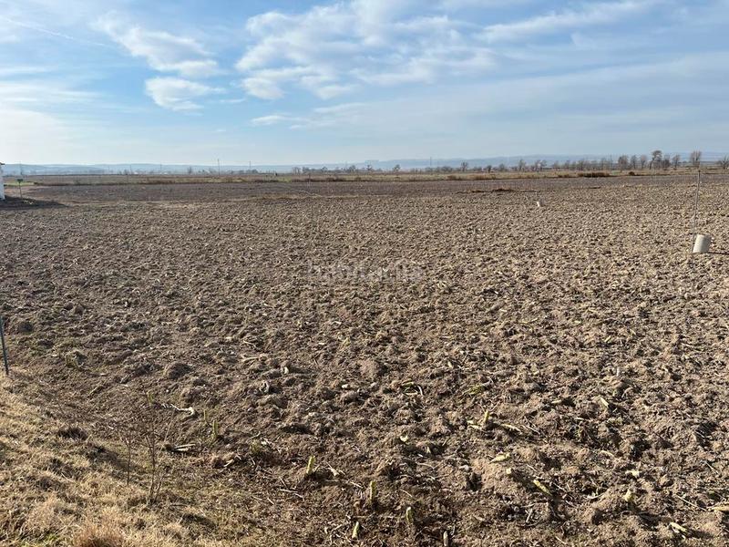 Foto a7f8530a-d7d0-4f2a-a319-7c7b8640fdb3. Finca rústica parcela de 5 hectareas de riego en la zona del salobral en Albacete