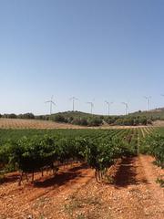 Finca rústica en Pozohondo. Finca rustica en la provincia de albacete