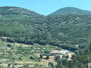 Finca rústica en Vianos. Finca rustica de 163 hectareas en la sierra de alcaraz