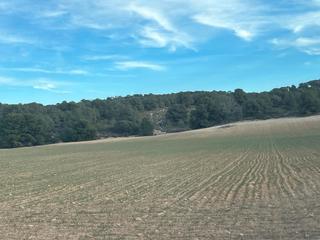 Finca rústica en Hellín. Finca rustica de 538 hectareas en la provincia de albacete