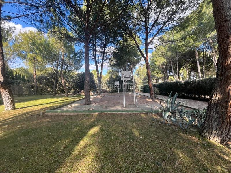 Foto 7216289a-2475-42d7-ab06-8d72e45b087e. Xalet amb xemeneia calefacció piscina a Pedanías - Extrarradio Albacete