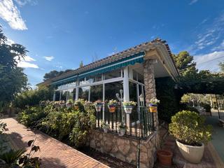 Chalet  Calle carretera de jaén. Parcela de 4500m2 con casa en carretera de jaen