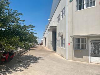 Location Bâtiment à usage industriel à Pedanías - Extrarradio. Nave industrial en romica