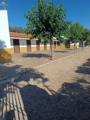 Fondo rustico in Villarrobledo. Finca de recreo en villarrobledo