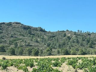 Rural plot in Hellín. Finca rustica situada en el este de la provincia de albacete