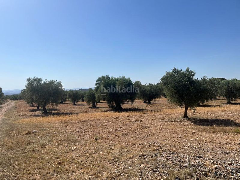 Foto 64944165-371a-424d-bdcd-54b32c4b276a. Propriété dans Hellín
