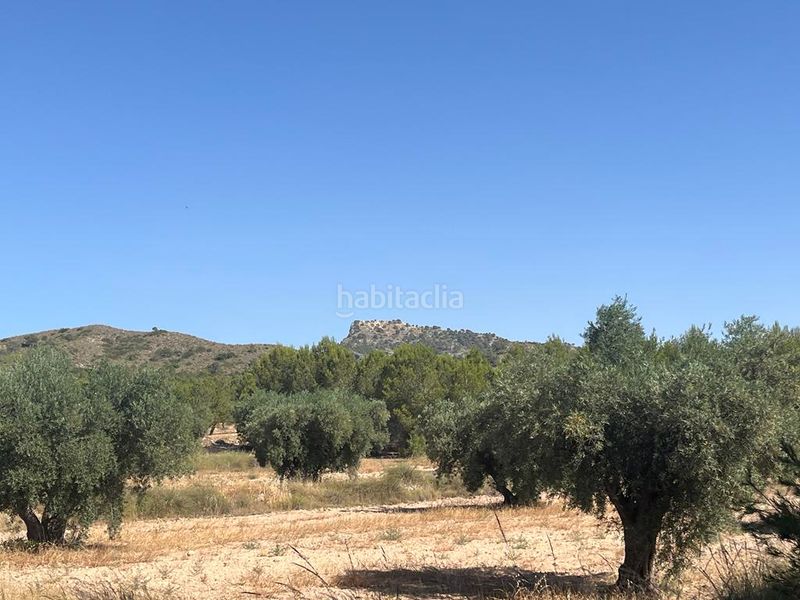 Foto 7ff1b126-9ddb-4e81-8ce0-ba76ff8ebef0. Propriété dans Hellín