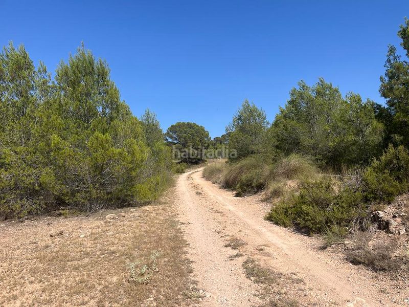 Foto c72d084d-505a-44d8-bfe9-ee50902287f2. Propriété dans Hellín