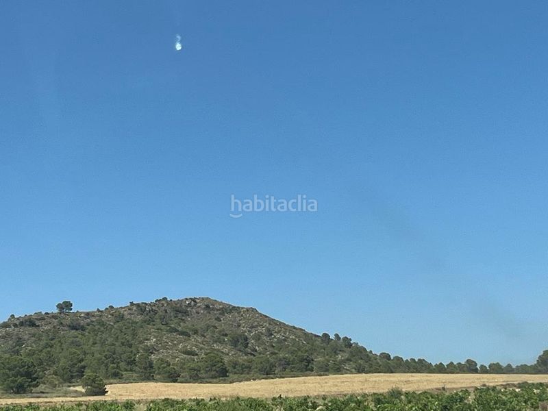 Foto d2a4dfee-d4a1-46ba-b024-295616cc6712. Propriété dans Hellín