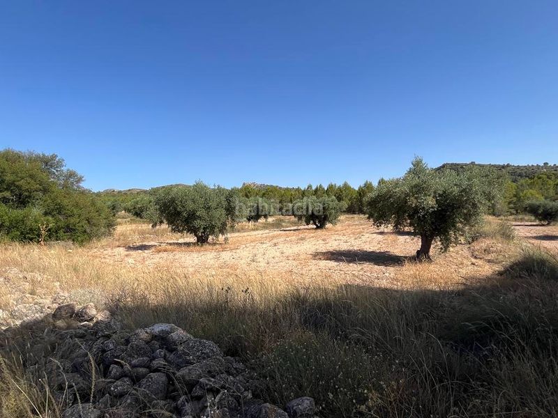 Foto f632301c-c4cc-47b9-a159-12e7bb3dbbfc. Propriété dans Hellín