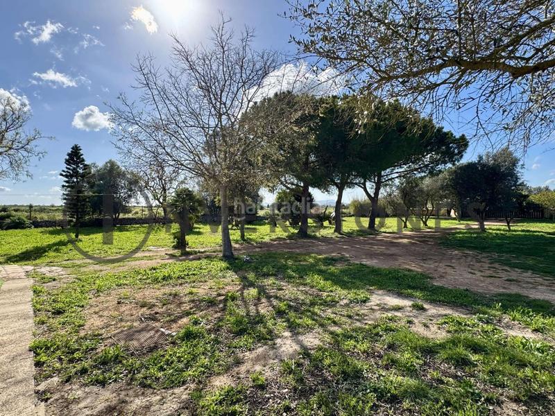 Foto a5734e64-dd40-407c-ad49-0112c0561417. Casale con riscaldamento in Felanitx poble Felanitx