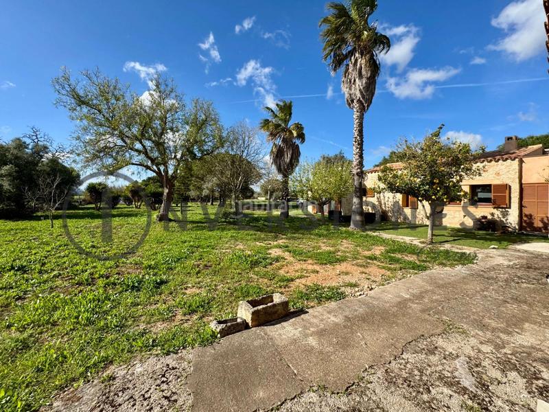 Foto b8500827-de9b-42d8-8af8-7694c6131681. Casale con riscaldamento in Felanitx poble Felanitx