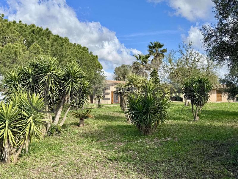 Foto 6fe5b624-7271-4d9e-9c77-018da90ee967. Country house with heating in Felanitx poble Felanitx