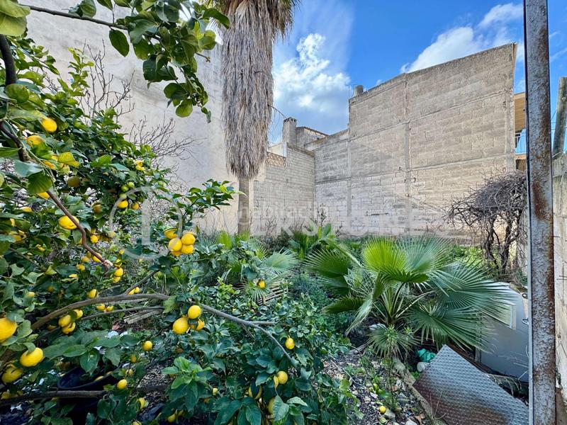 Foto a02ff4b3-f901-4e28-8314-043e8ba36fb0. Terreno residencial en Manacor centre Manacor
