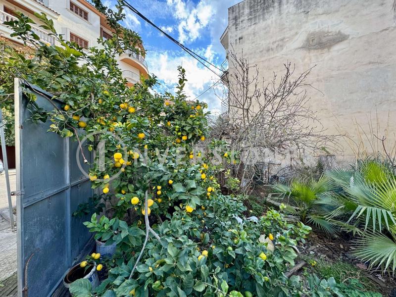 Foto d1e186ed-1ee9-4237-9754-d60fed6fab04. Terreno residencial en Manacor centre Manacor