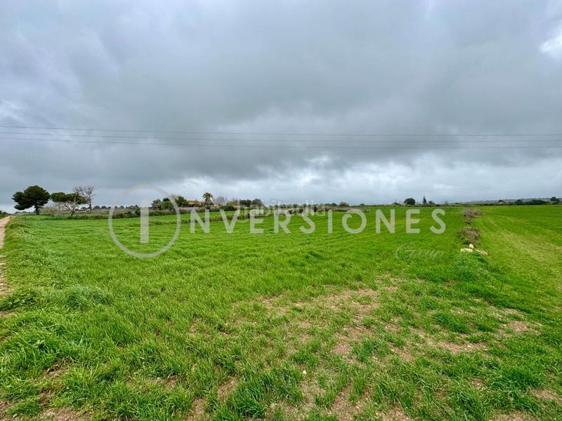Foto 60ef0bee-6643-401f-ab78-1c86439c060b. Terreno residencial en Manacor centre Manacor