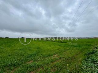 Residential Plot  Cogolla