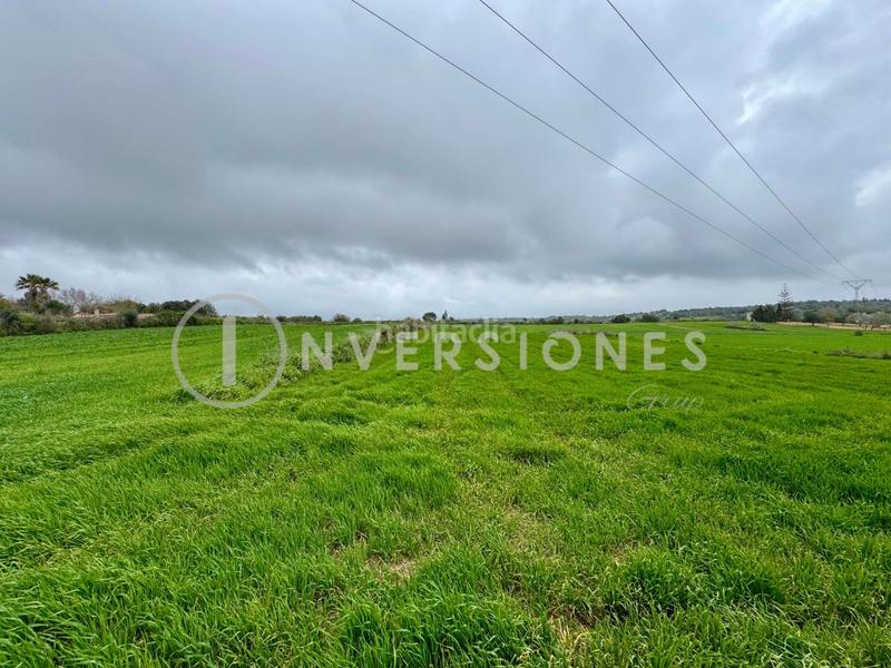 Foto 30857719-ba38-4dca-aa7b-b66e2a1c8ed9. Terrain résidentiel dans Manacor centre Manacor