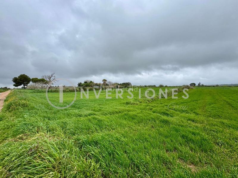 Foto 52216b5d-1cf1-40ea-9e16-69591ca8eacb. Terrain résidentiel dans Manacor centre Manacor
