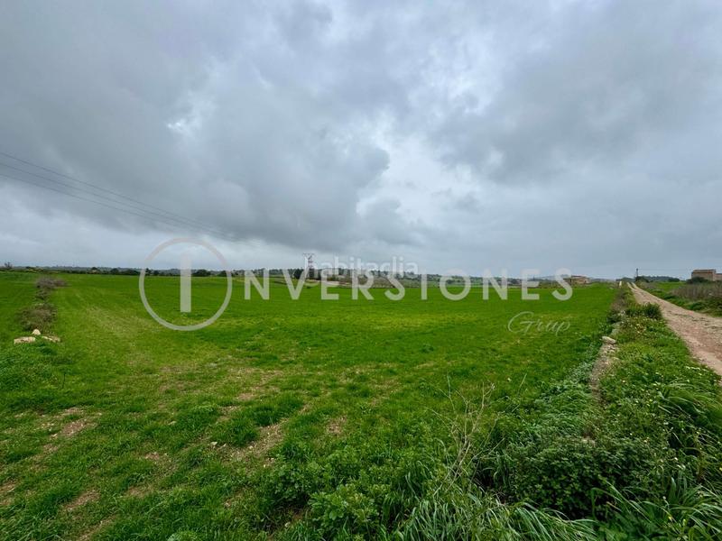 Foto 6fa19104-6d66-44f3-bb01-f716e0475e37. Terrain résidentiel dans Manacor centre Manacor