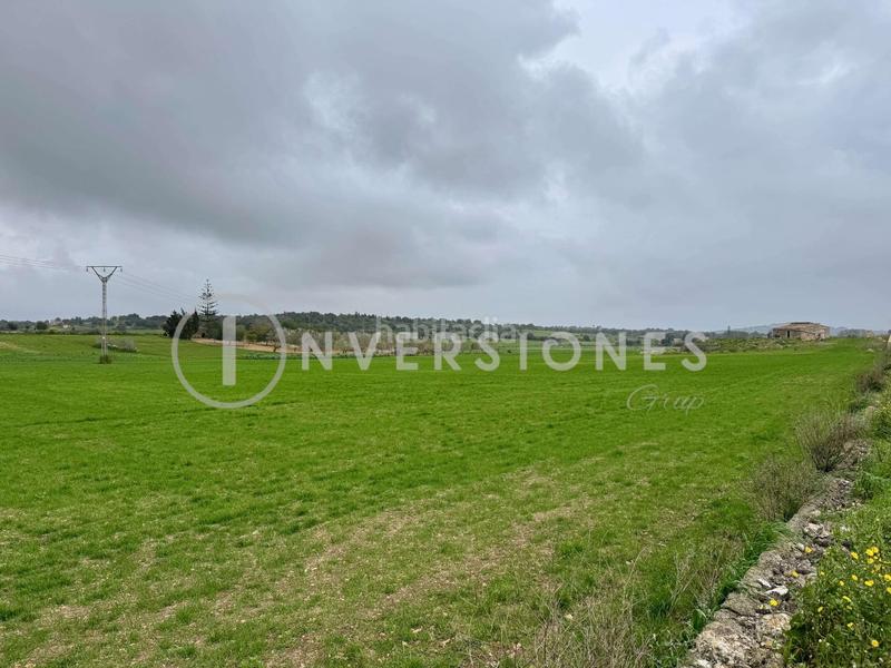 Foto 774a1855-0908-4f1a-b9af-f083c1b02115. Terrain résidentiel dans Manacor centre Manacor