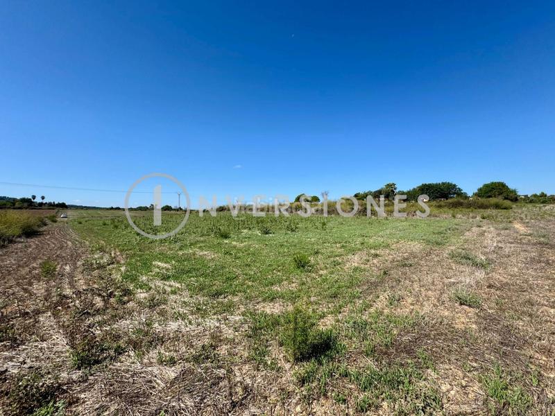 Foto 7c35fc35-d65e-4ee4-b438-f2c190e1e9c3. Terrain résidentiel dans Manacor centre Manacor