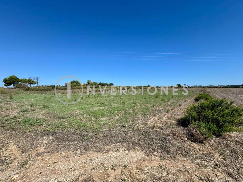 Foto 8ceed9aa-056d-458f-b237-c0415782bac6. Terrain résidentiel dans Manacor centre Manacor