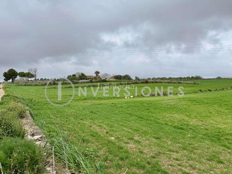 Foto 95157ec8-3575-4c31-8e5d-2f6a3618f864. Terrain résidentiel dans Manacor centre Manacor