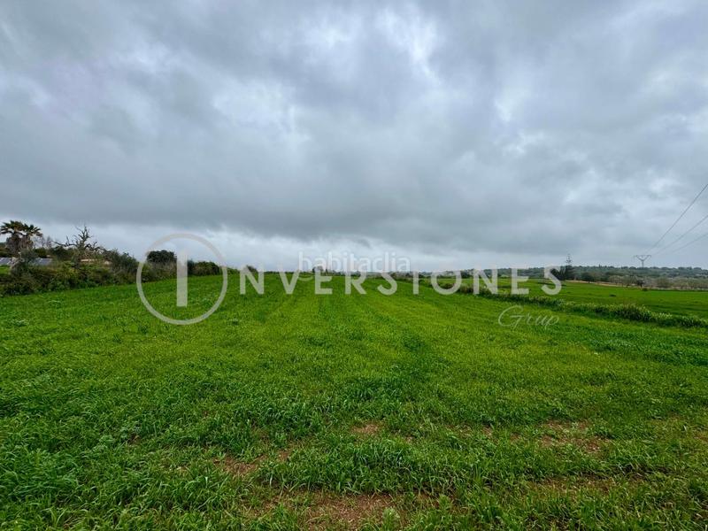 Foto 961c19b8-2dc4-4460-b885-c1073e0a059f. Terrain résidentiel dans Manacor centre Manacor