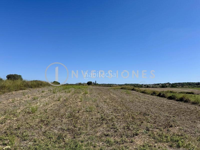 Foto a9b1368d-6f37-4a57-9074-6cd60afd132f. Terrain résidentiel dans Manacor centre Manacor