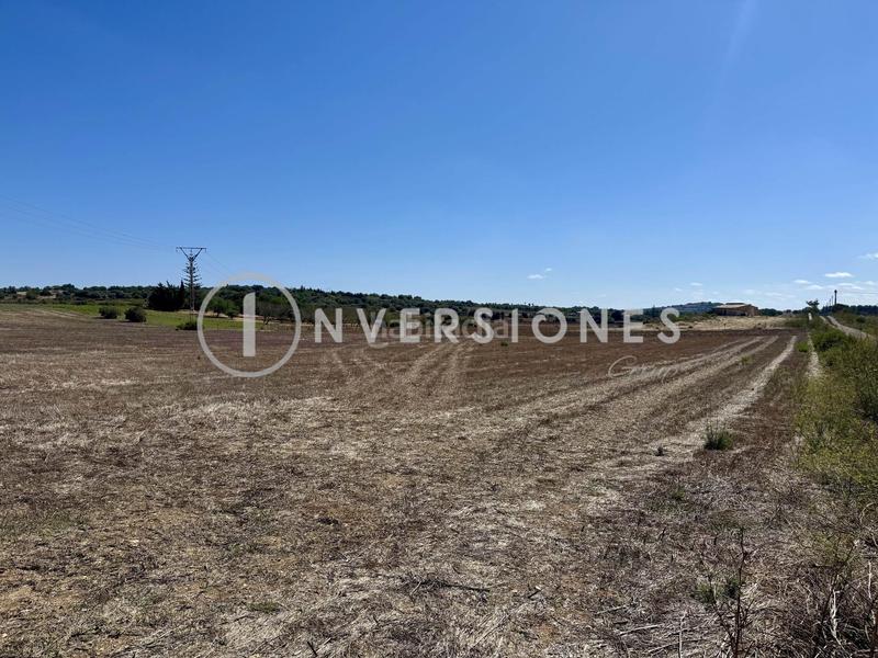 Foto d84b8075-864f-41cd-9efa-c4ff5341d431. Terrain résidentiel dans Manacor centre Manacor