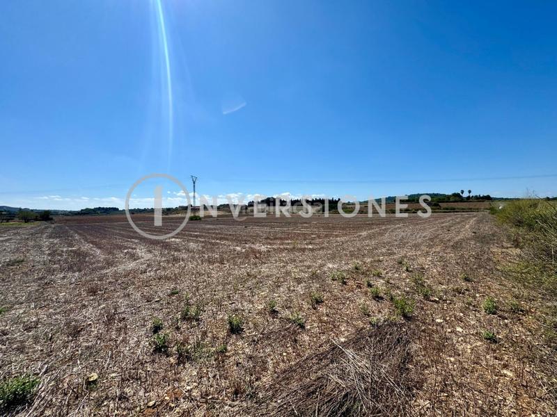 Foto df55c181-4d03-4073-a41c-556394ecf931. Terrain résidentiel dans Manacor centre Manacor