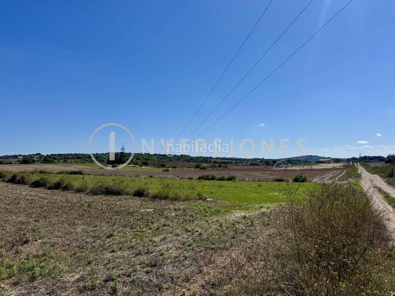 Foto e22f4fdf-7bed-4069-a58c-e5e38ff80db0. Terrain résidentiel dans Manacor centre Manacor