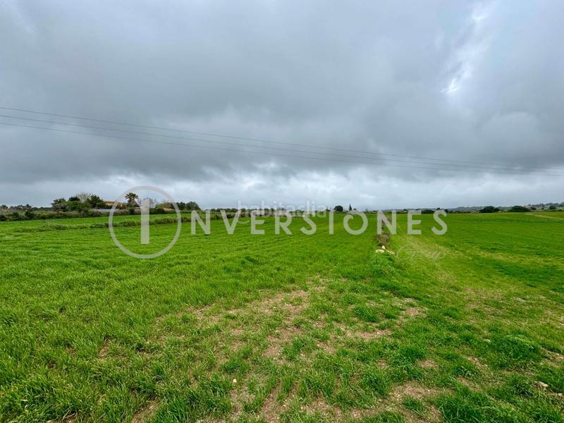 Foto e828203f-0aa7-4c9a-8e52-841d112d9b24. Terrain résidentiel dans Manacor centre Manacor