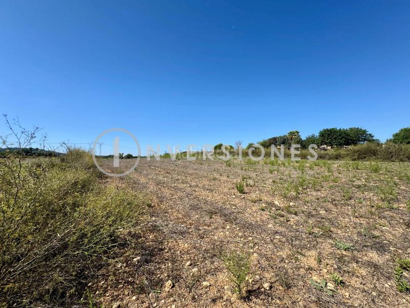 Foto ef39e788-a5d6-4a8b-9294-6d95d26c18d6. Terrain résidentiel dans Manacor centre Manacor