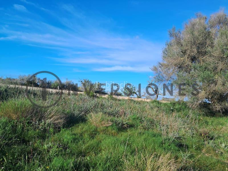 Foto 6faeef4c-21cd-4584-901d-6880d65d3403. Residential plot in Sineu