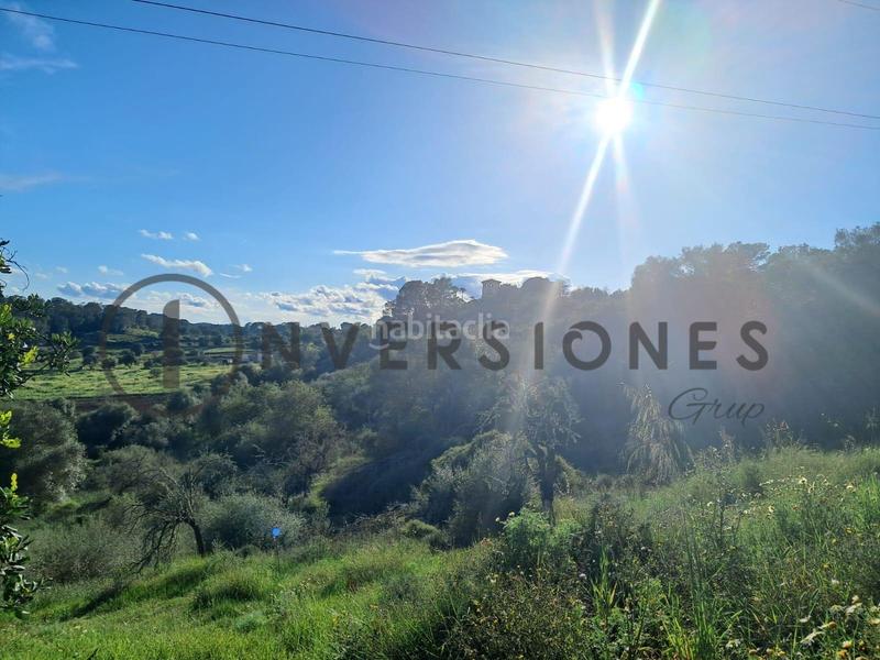 Foto 7d455d69-270c-4d90-b736-6bd5fd000d38. Residential plot in Sineu