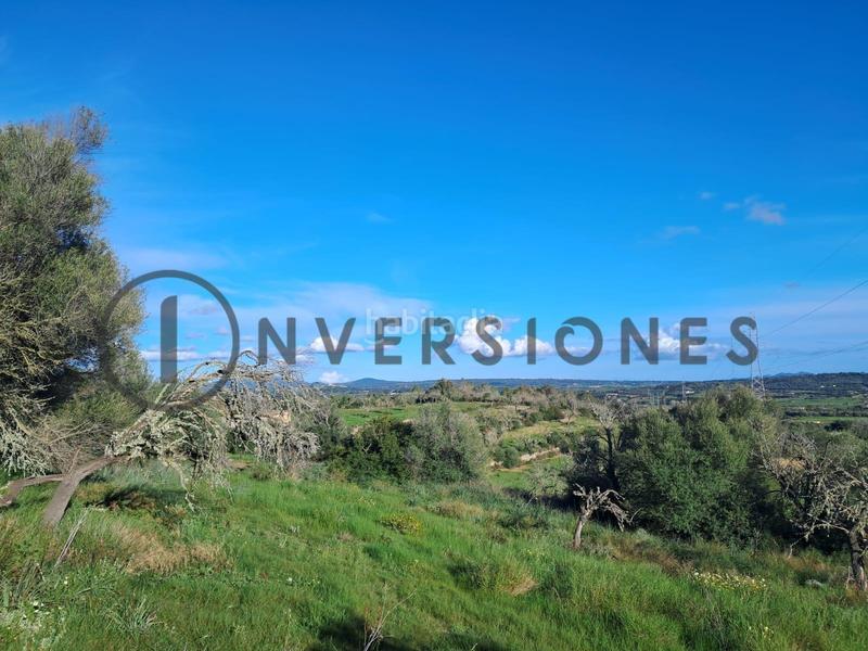 Foto f2bd54d5-ac46-4f7d-accf-6a18280a5220. Terrain résidentiel dans Sineu