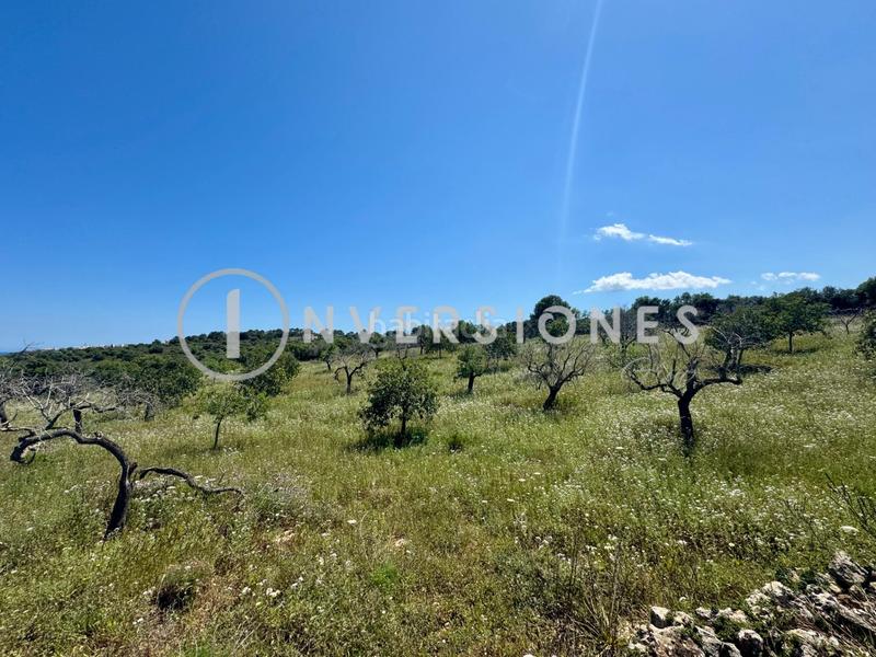 Foto 0ad459d0-23d5-4db6-91e7-3de44415dd6b. Terreny residencial a Cala Magrana-Cala Anguila-Cala Mendia Manacor
