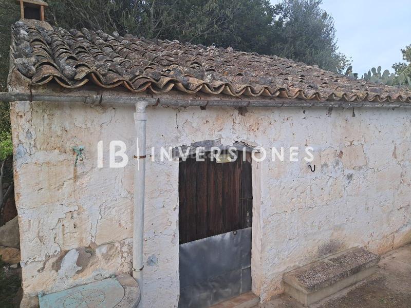Foto 1a3b2bdb-cd22-4cf7-bda3-a8f6081ebe56. Fondo rustico in Lloseta
