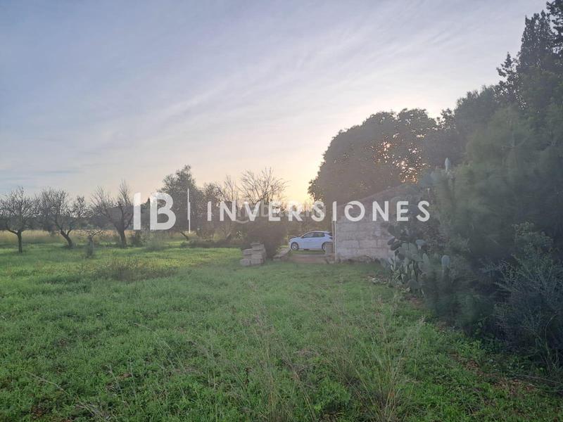 Foto 44a8dad7-62d8-4100-be82-920b6bd5ded4. Fondo rustico in Lloseta