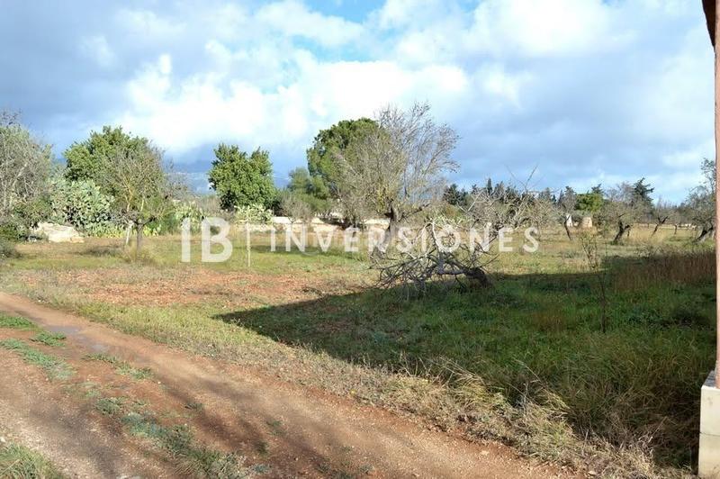 Foto a5b96c5e-b75f-4dcc-9f35-7d789a4e4143. Fondo rustico in Lloseta